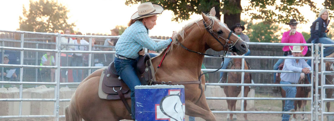 2023 Northwestern Michigan Fair